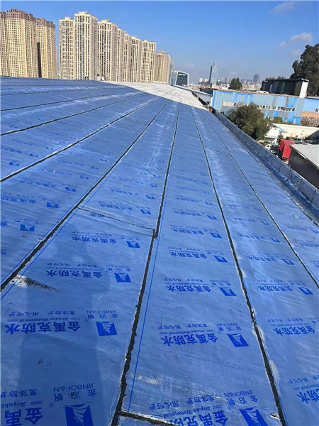 呈貢區老廠房屋頂SBS防水